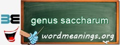 WordMeaning blackboard for genus saccharum